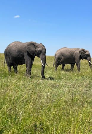 Kenya - A Land of Unforgettable Experiences