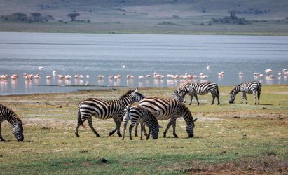 14 Days Kenya & Tanzania Combined Safari