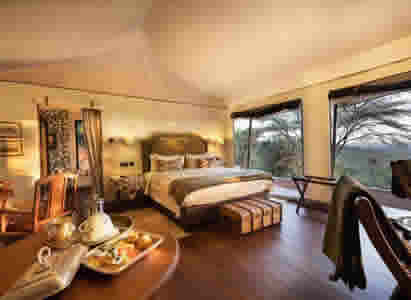 Luxury Safari